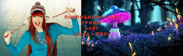 сатива Арсеньев