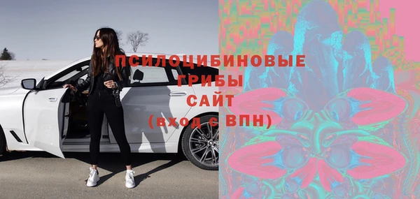 дурь Аркадак