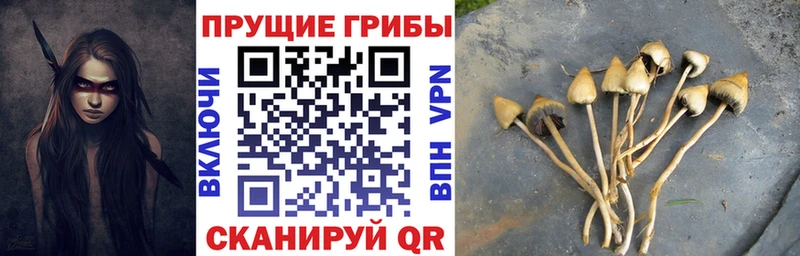darknet как зайти  Наволоки  Псилоцибиновые грибы ЛСД 