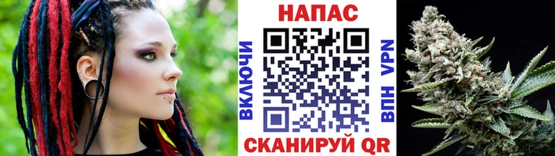 Канабис ГИДРОПОН  Наволоки 
